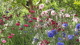 img0007.jpg