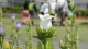 img0015.jpg