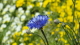 img0019.jpg