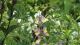 img0021.jpg