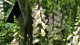 img0023.jpg