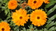 img0024.jpg