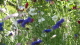 img0025.jpg