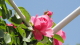 img0028.jpg
