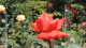 img0029.jpg