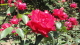 img0032.jpg