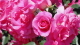 img0035.jpg
