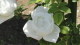 img0048.jpg