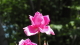img0055.jpg