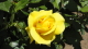 img0066.jpg