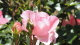 img0068.jpg