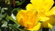 img0073.jpg