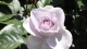 img0075.jpg