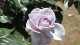 img0076.jpg