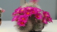 img0094.jpg