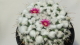 img0095.jpg