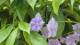 img0101.jpg