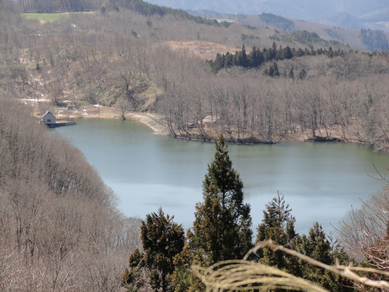img0015.jpg