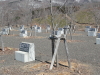 img0025.jpg