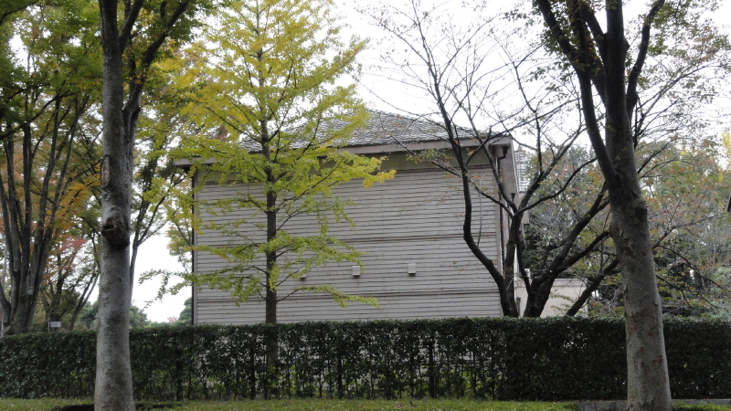 img0004.jpg