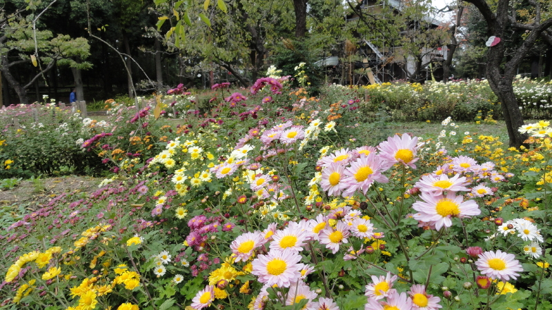 img0069.jpg