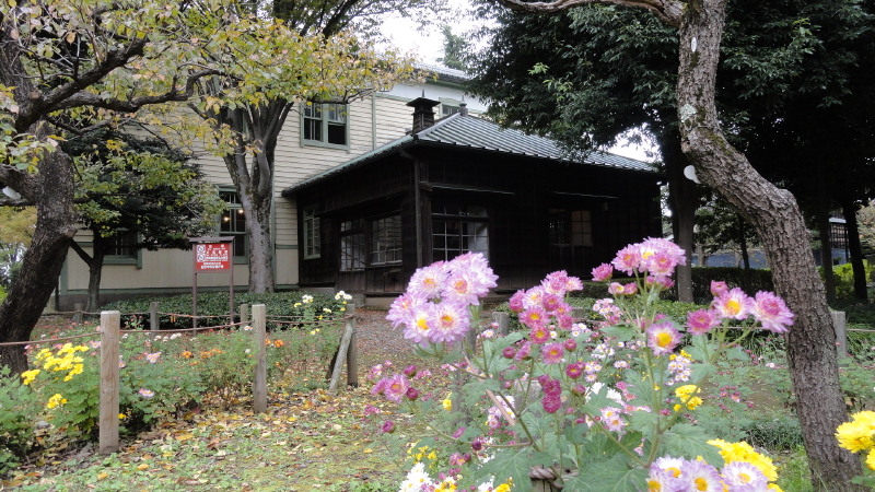 img0070.jpg