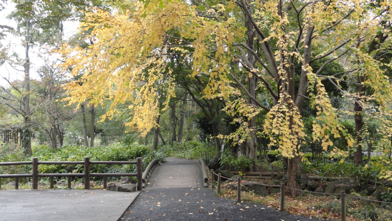 img0071.jpg