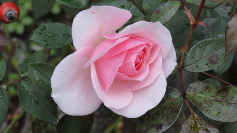 img0074.jpg