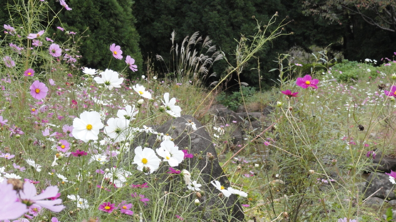 img0076.jpg