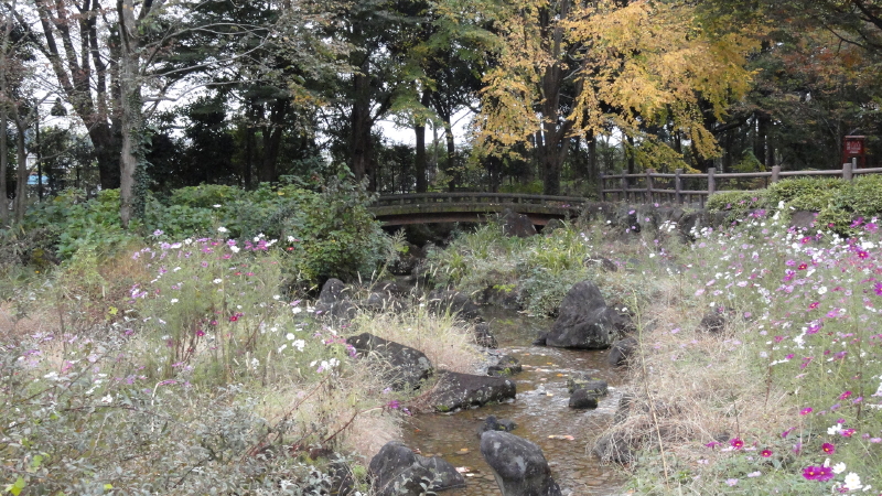 img0078.jpg