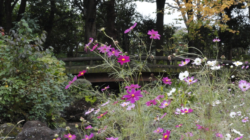 img0080.jpg