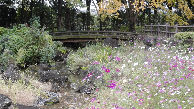 img0081.jpg