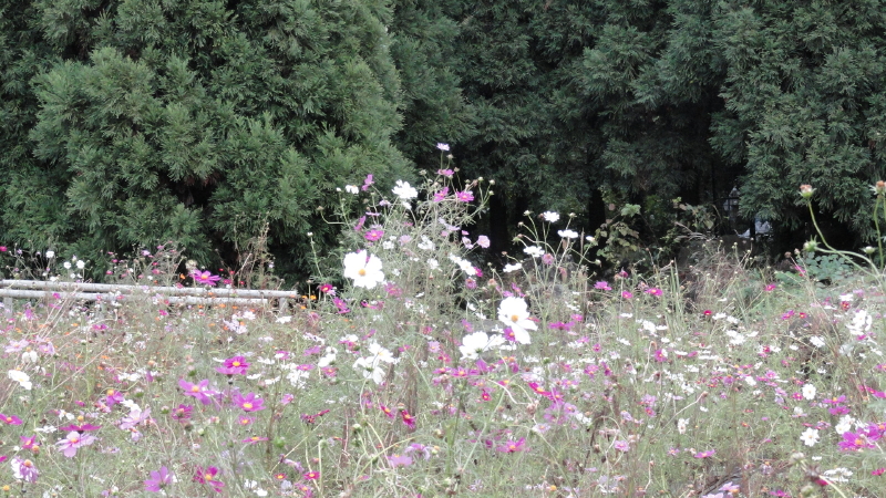 img0086.jpg