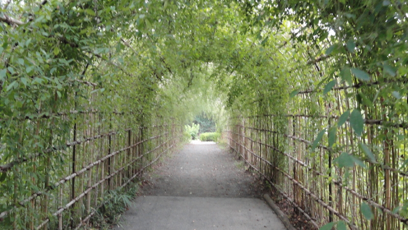 img0091.jpg