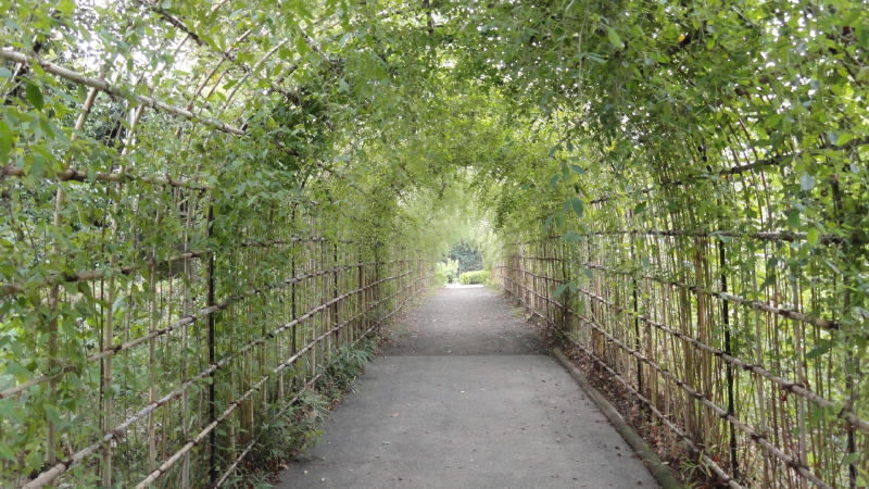 img0092.jpg