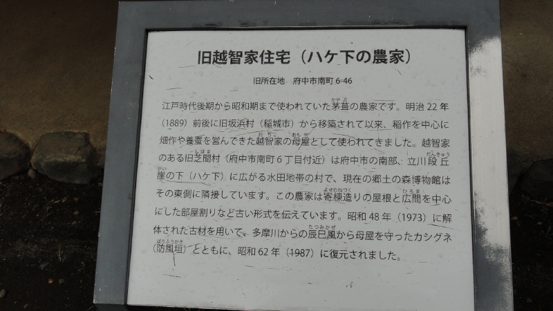 img0093.jpg