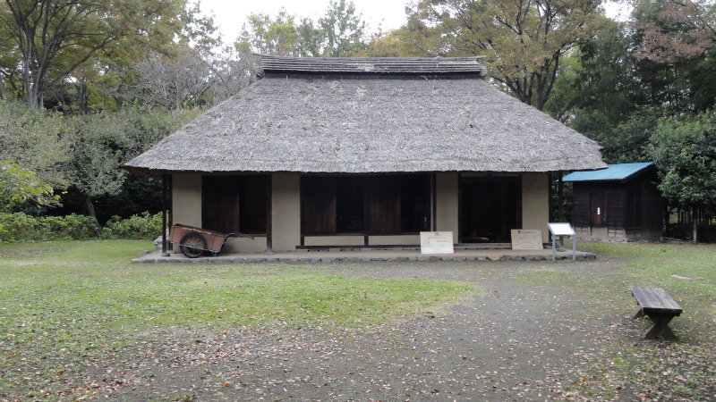 img0094.jpg