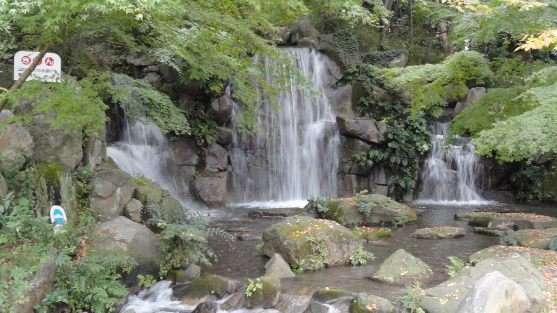 img0099.jpg