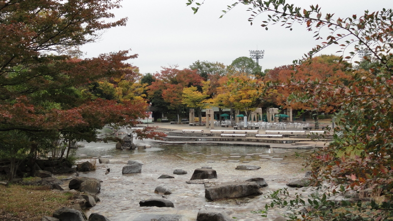 img0103.jpg
