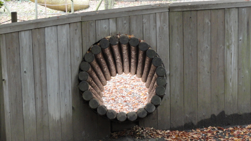 img0105.jpg