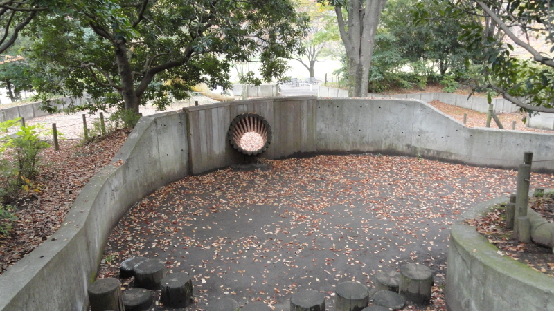 img0106.jpg