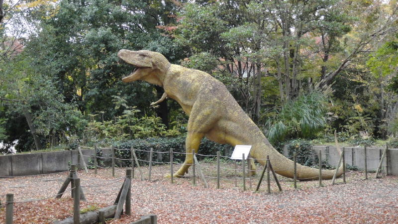 img0109.jpg