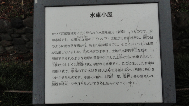 img0118.jpg