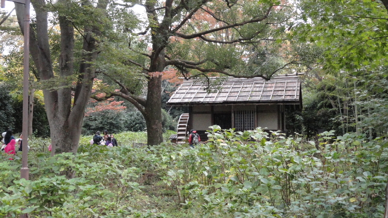 img0119.jpg