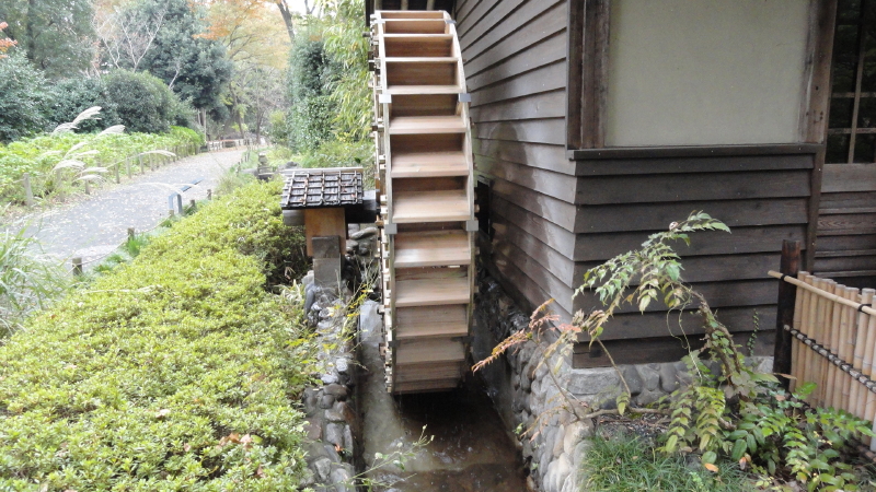 img0125.jpg