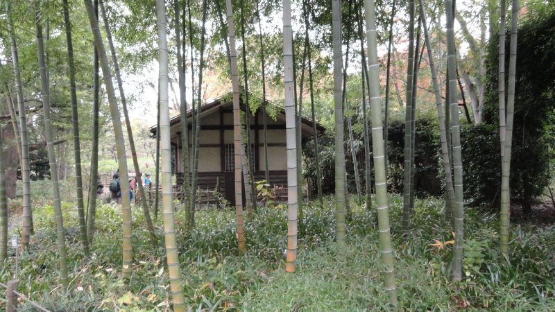 img0127.jpg