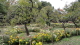 img0068.jpg