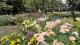 img0069.jpg