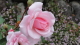 img0075.jpg