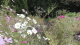 img0076.jpg